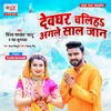 About Devghar Chaliye Agale Saal Jaan Song